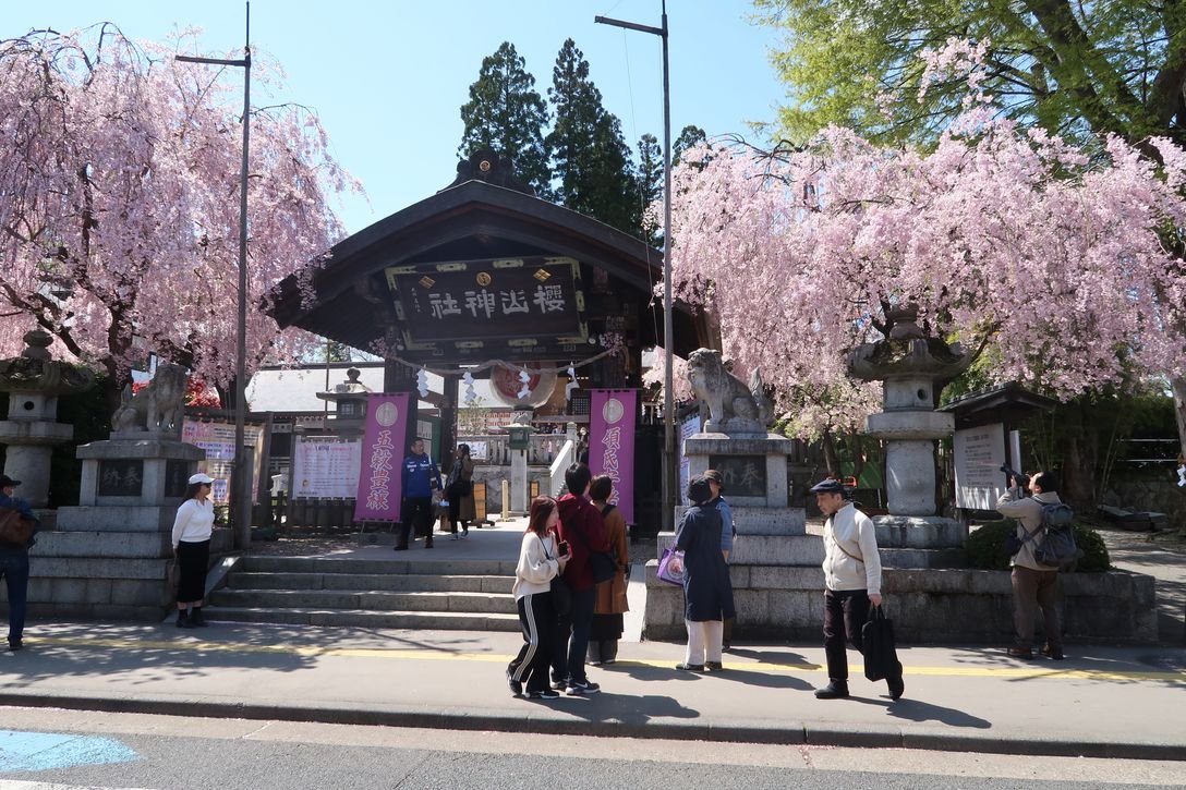 💧 대자 맑은 물 (다이지시미즈) 이미지 6